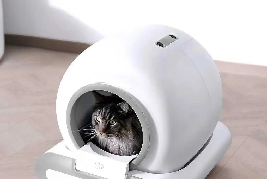 Litière intelligente connectée pour chat avec design compact et élégant