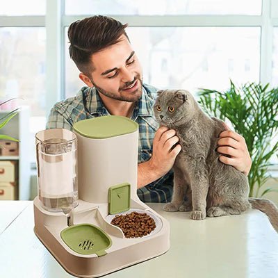 Mangeoire automatique pour chat avec séparation humide/sec
