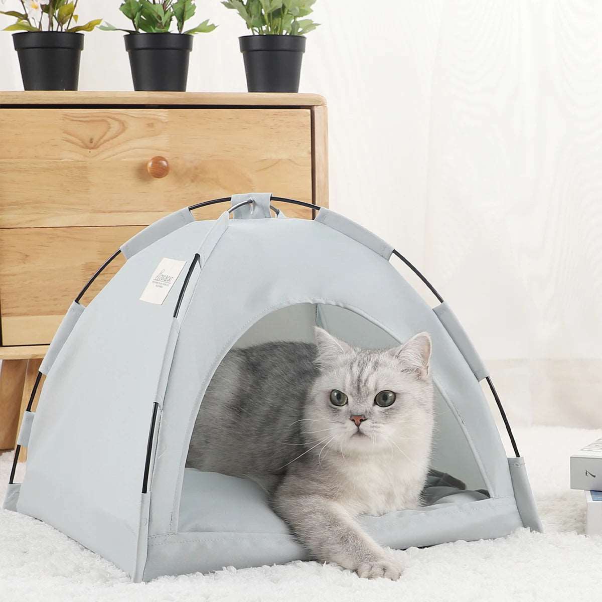 Niche canapé pour chat au design élégant, couleur grise