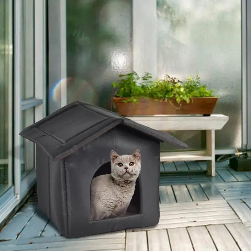 Chat gris confortablement installé dans une niche d'extérieur imperméable.