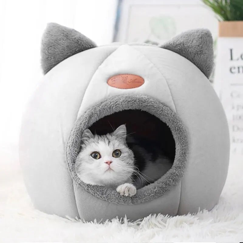 Chat mignon dans une niche douillette en forme de tête de chat