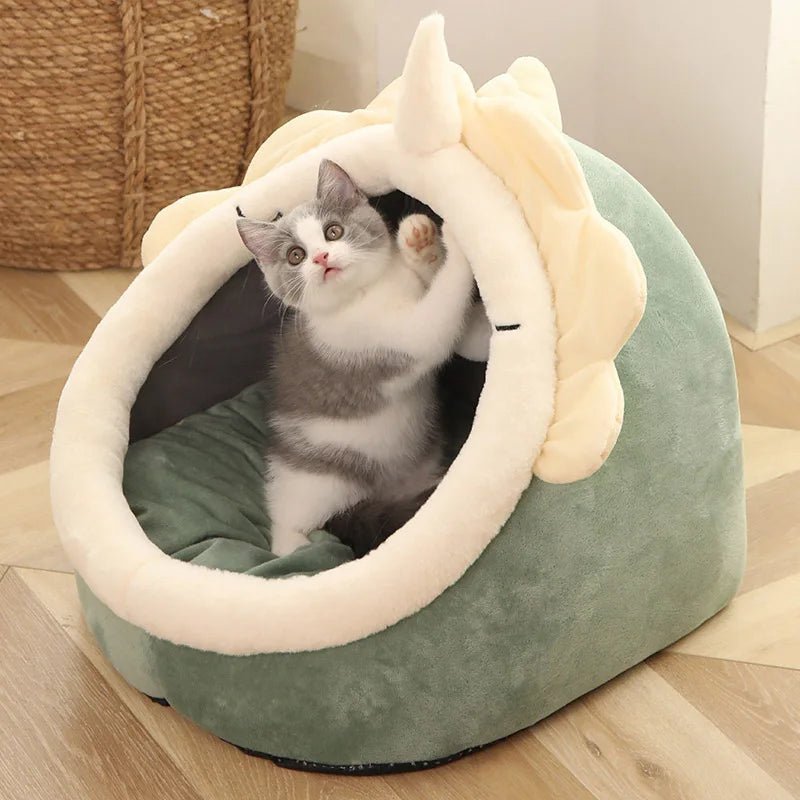 Adorable niche chat en forme de tĂȘte de chat, couleur verte
