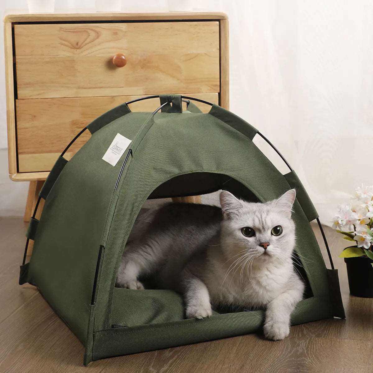 Chaton gris se détendant dans une niche tente design vert olive
