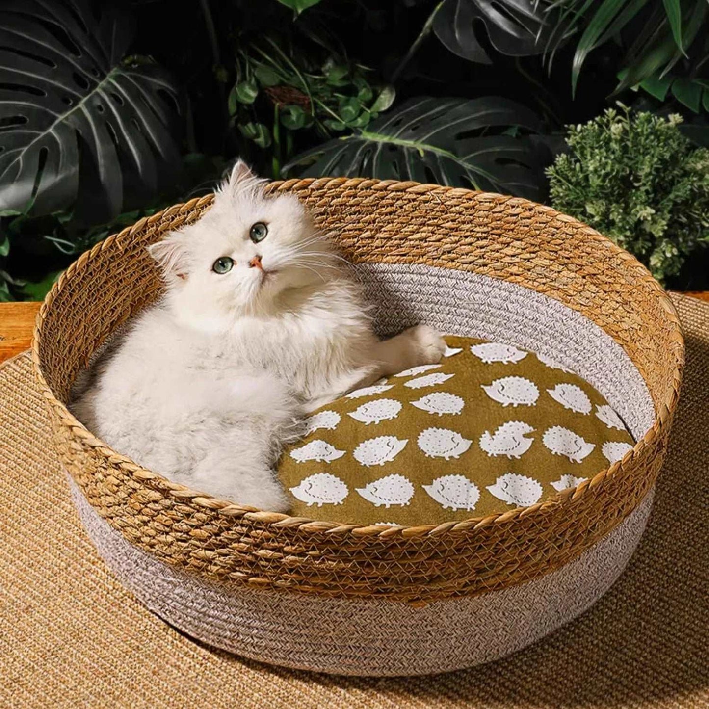 Nid pour chat en rotin tissé à la main : un refuge chaleureux