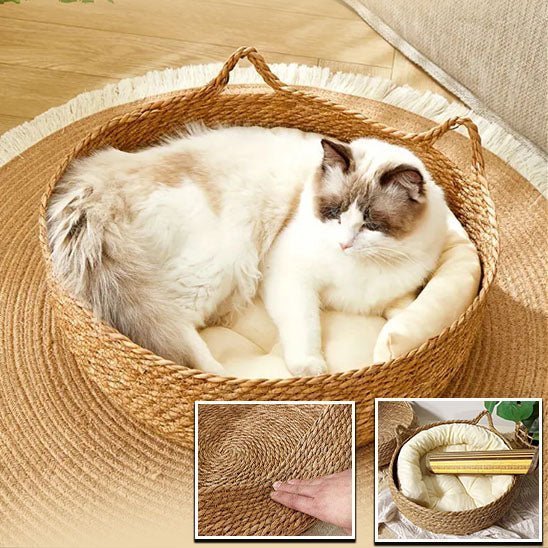 Chat se prélassant dans un panier en osier, un véritable havre de paix