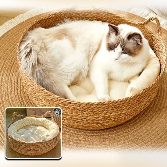 Chat confortablement installé dans un panier en osier tressé à la main.