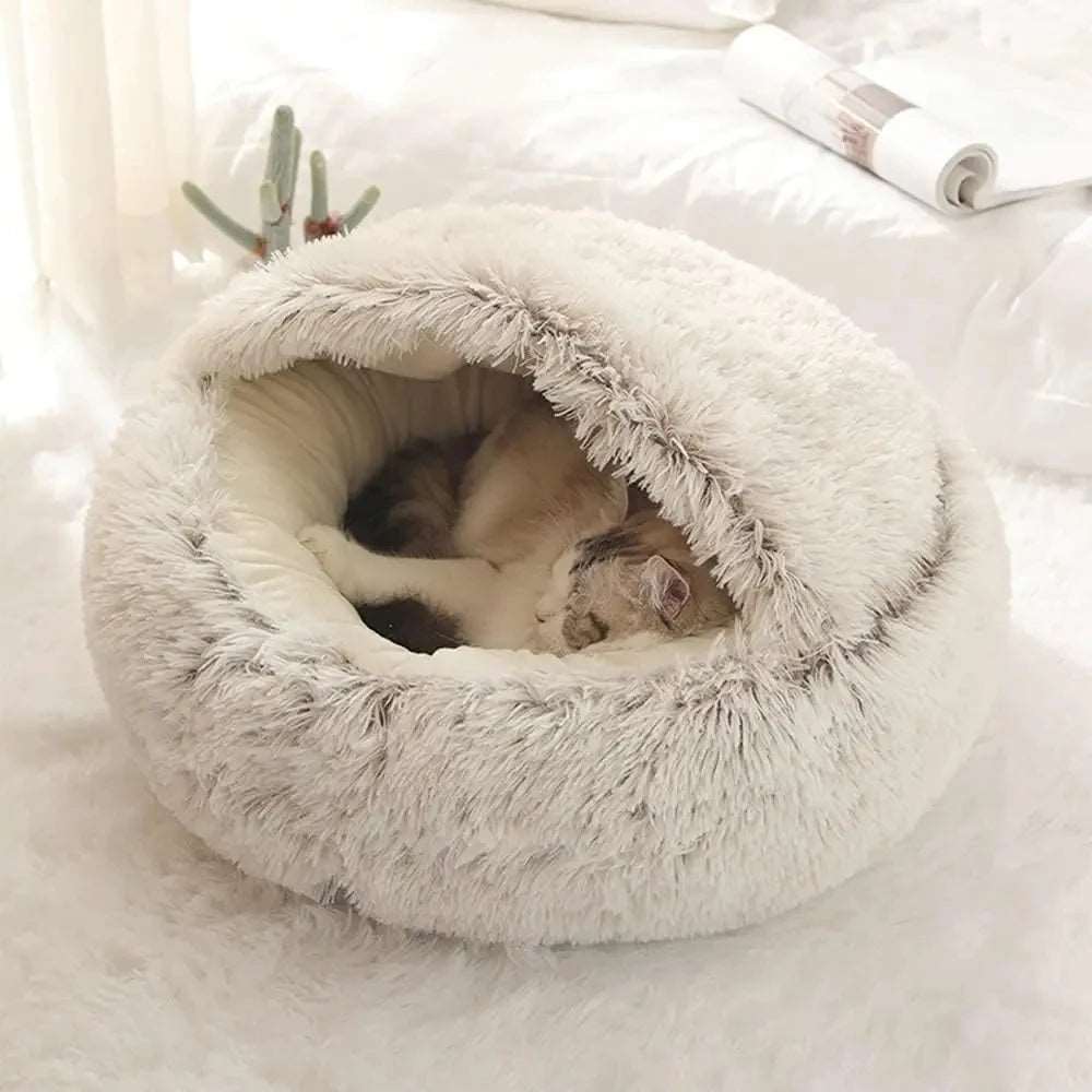 Chat se reposant dans un refuge douillet en peluche.