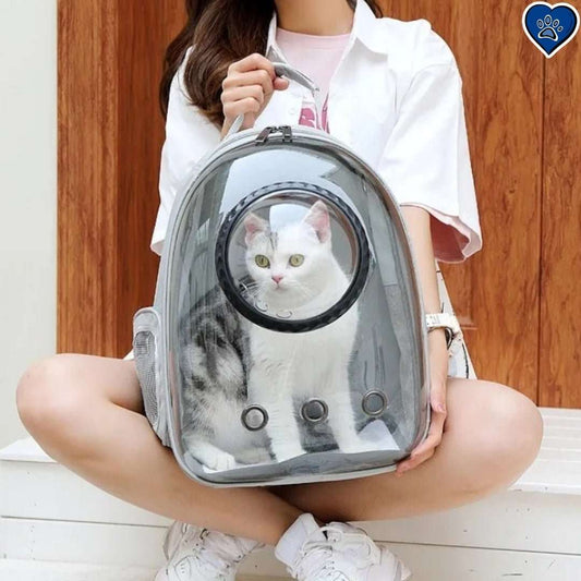Chat blanc et gris dans un sac de transport capsule spatiale gris.