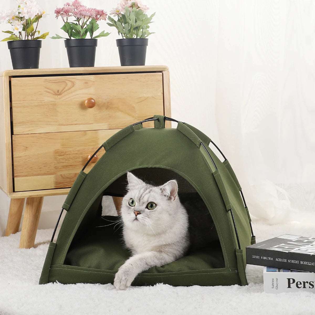 Tente chat d'intérieur offrant confort et sécurité, idéale comme lit pour chaton.