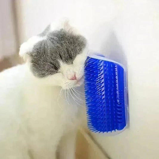 5 Astuces pour Réduire les Poils de Chat | Maison Impeccable ✨ - Pattes d'Or