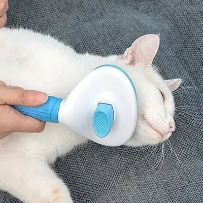 L'Art du Toilettage Félin | Guide pour un Pelage Magnifique ✨ - Pattes d'Or