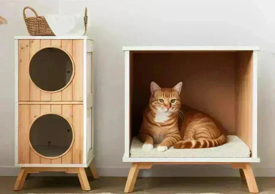 Niche d'intérieur beige et moderne pour chat avec chaton roux et blanc endormi dans un salon lumineux. Abri et maison confortable pour félin.