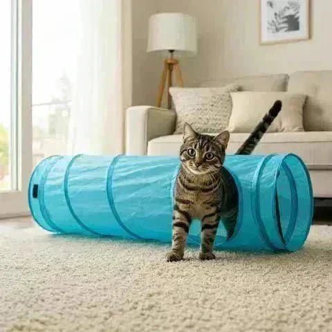 Tunnel pour Chat Pliable | Le Secret du Bonheur de Votre Chat 🐾 - Pattes d'Or