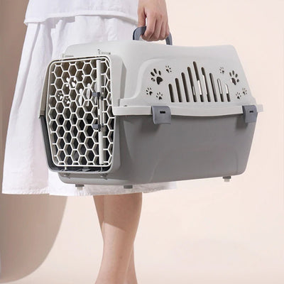 chat se promène avec son maître, dans une cage de transport pour chat spacieuse et elegente 