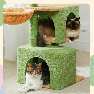 Chats se prélassant sur un arbre à chat cactus