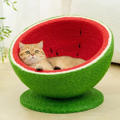 Couchage Chat - Pattes d'or