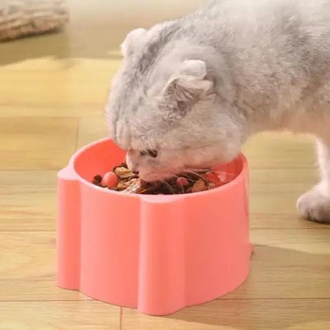 Gamelle Anti-Glouton pour Chat