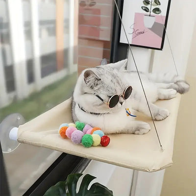 chat avec lunettes sur un hamac fenêtre pour chat