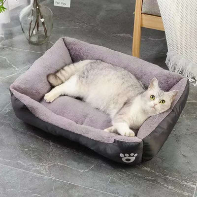 Lit pour chat - Pattes d'or