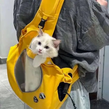 Chat blanc dans un sac de transport jaune pour la collection Transport du Chat