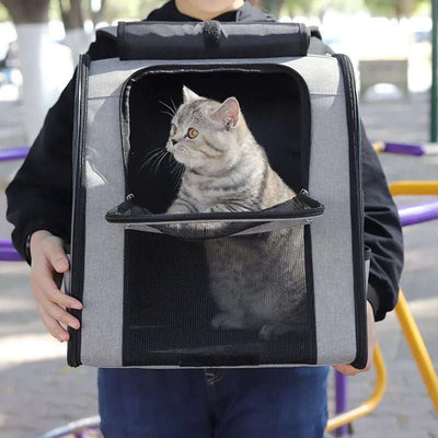 Caisse de Transport Chat