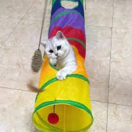 Tunnel de Jeu pour Chats