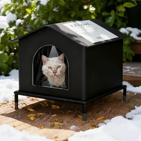 Abri chat imperméable contre la pluie