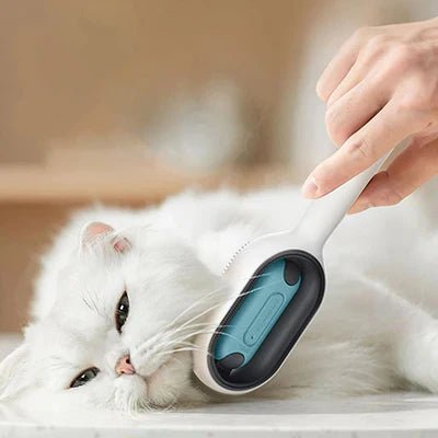 Fonction anti-poils de la brosse pour chat, nettoyant efficacement les coussins et textiles.