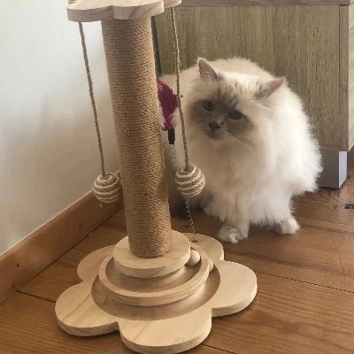 Arbre à chat design moderne en bois et sisal – stimule l'activité de votre chat.