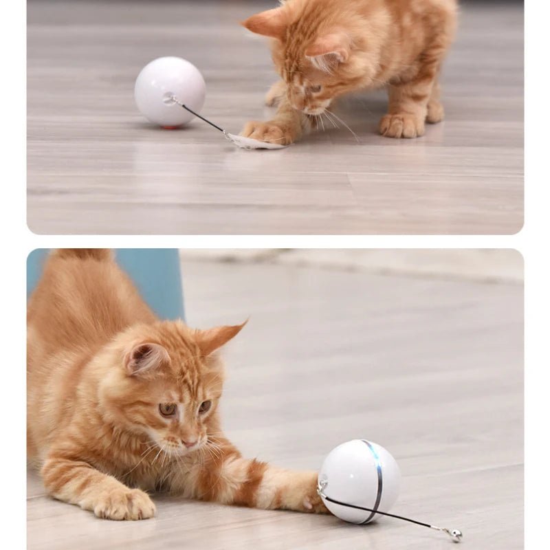 Balle automatique pour chat avec lumière et rotation rechargeable USB