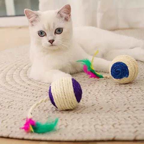 Balle à gratter interactive en sisal avec plume pour chat