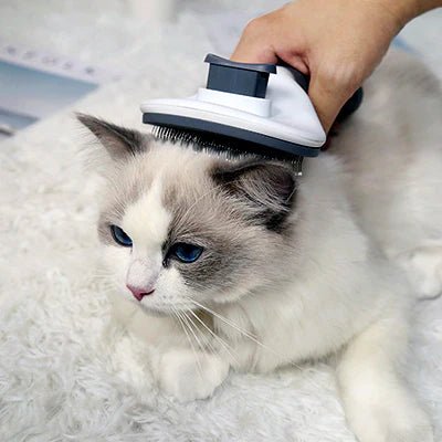 Brosse pour chat avec picots en acier inoxydable et manche en PP