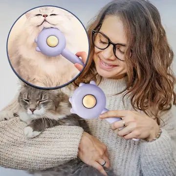 Brossage efficace du pelage d'un chat avec la brosse autonettoyante