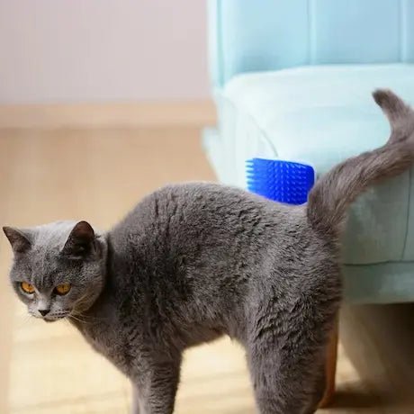 Brosse d'Angle Auto - Toilettante Chat | Massage & Maison Propre - Pattes d'Or