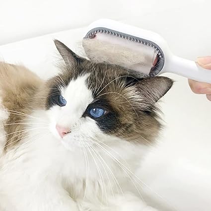 Brosse innovante pour chat 3-en-1, retire les poils morts et nettoie le pelage en douceur.