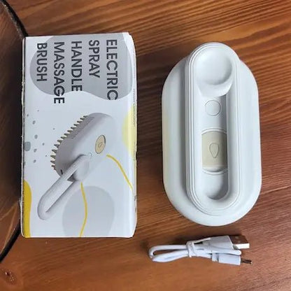 Pack complet brosse à vapeur chat avec chargeur USB et tête de rechange, prêt à l'emploi pour le toilettage à domicile