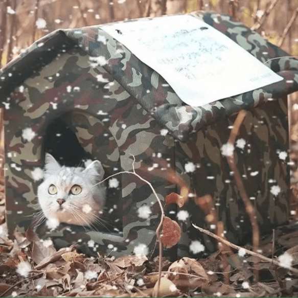 Cabane de jardin camouflage pour chat - Refuge extérieur confortable et sécurisé - Pattes d'or