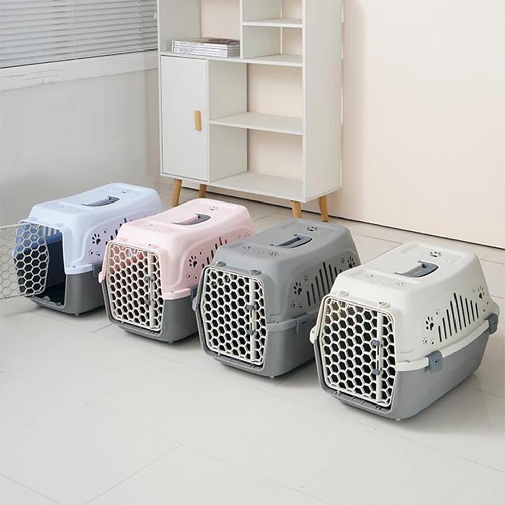 Cage de Transport Ventilée et Durable pour Chat et Petits Animaux 🐾 - Pattes d'or