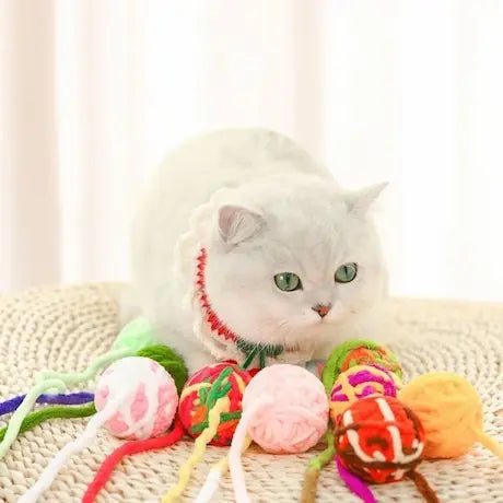 Chat en train d'attraper une balle en laine - saut et jeu actif