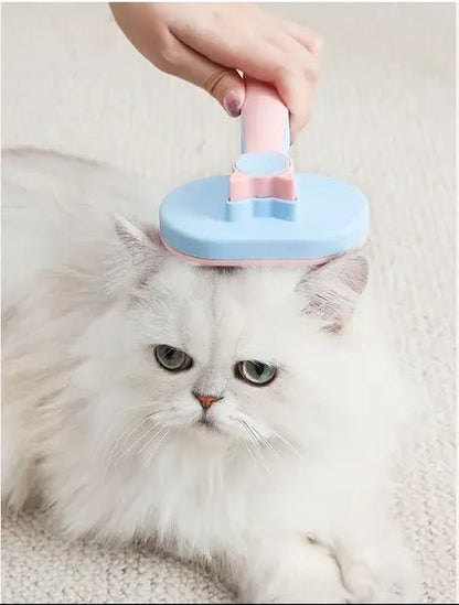 Chat blanc à la fourrure longue et soyeuse pendant une séance de brossage avec une brosse ergonomique, ambiance chaleureuse