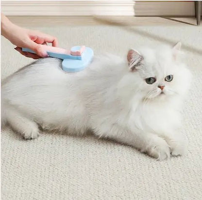 Chat blanc à poils longs se faisant brosser doucement avec une brosse auto-nettoyante orange, moment de complicité