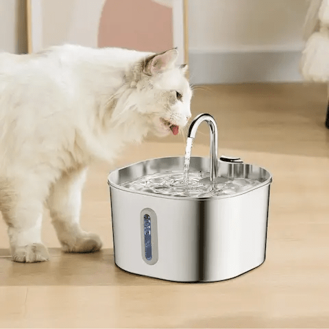 Chat buvant à une fontaine à eau 2,2L avec capteur de mouvement et triple filtration