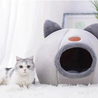 Chat confortable dans sa niche tête de chat - température idéale toute l'année