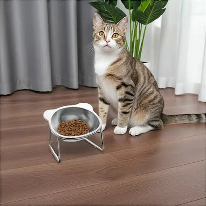 Magnifique chat blanc debout devant sa gamelle surélevée inclinée, attendant son repas dans une cuisine moderne et lumineuse