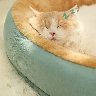 Chat endormi dans un lit chauffant moelleux pour un confort optimal