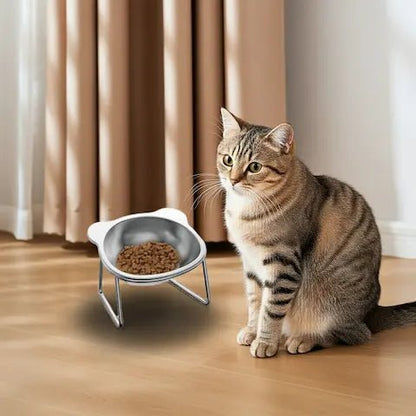 Chat roux utilisant une gamelle inclinée 15° dans un intérieur design avec plantes vertes et lumière naturelle