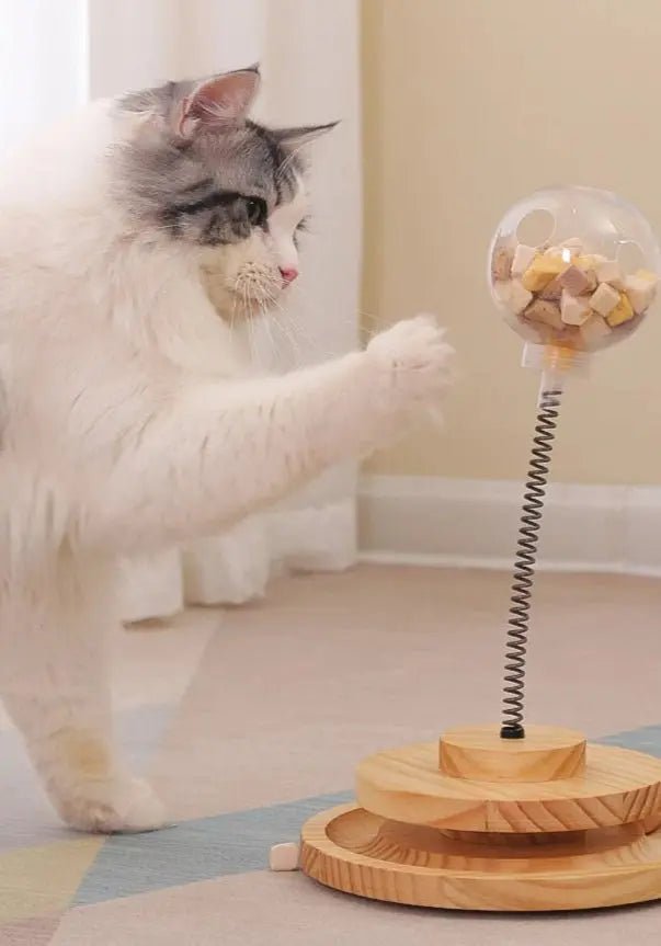 chat-joue-distributeur-croquettes-stimulation