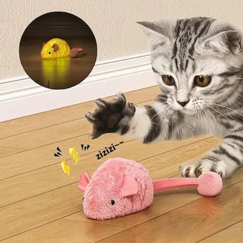 Souris pour Chat à Remonter | Jouet Mécanique Interactif - Pattes d'Or