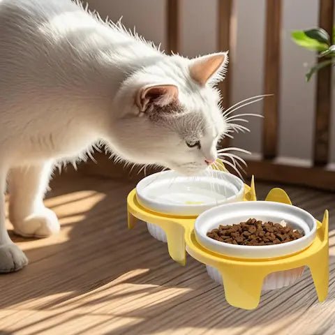un chat mangeant confortablement dans la gamelle surélevée en céramique inclinée à 15 degrés
