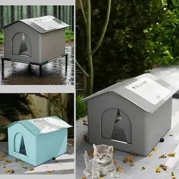 Chat en sécurité dans niche extérieure isolée - refuge chaud pour animaux sans abri